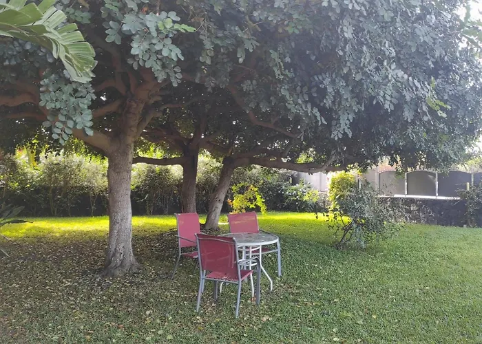 Einzimmerwohnung Mit Terrasse By Interhome Apartamento *
